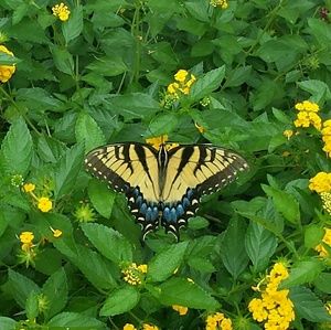 Meet your Posher, Sherry